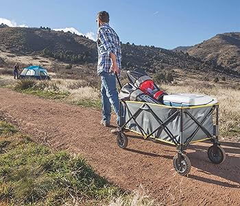 81awbtpWnrL._AC_UF350,350_QL80_